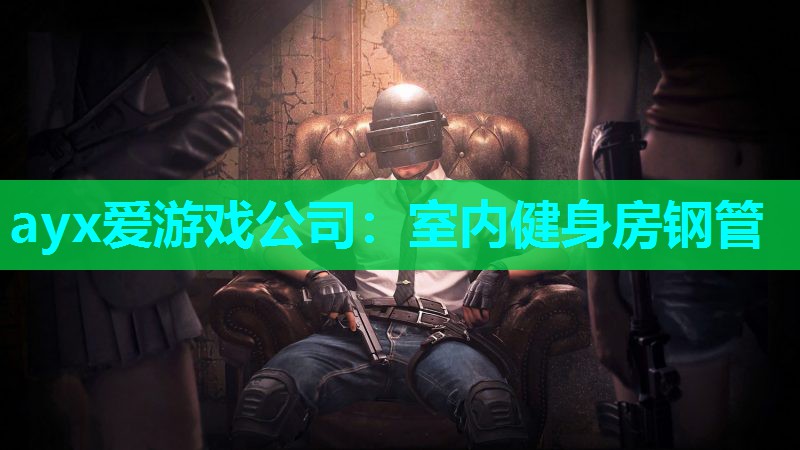 ayx爱游戏公司：室内健身房钢管