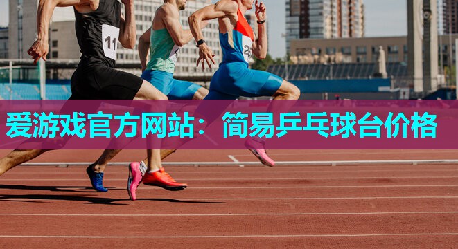 爱游戏官方网站：简易乒乓球台价格