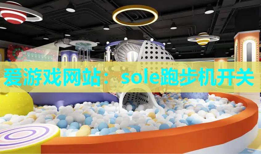 爱游戏网站：sole跑步机开关