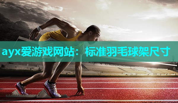 ayx爱游戏网站：标准羽毛球架尺寸