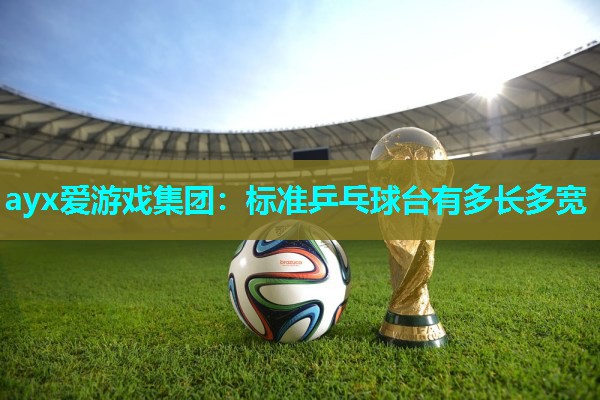 标准乒乓球台有多长多宽