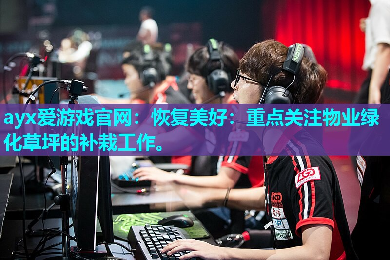 恢复美好：重点关注物业绿化草坪的补栽工作。