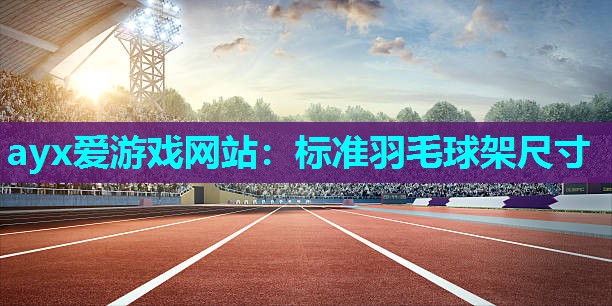 标准羽毛球架尺寸